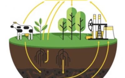 Balancing the Carbon Cycle: Environmental Justice in a Changing Climate