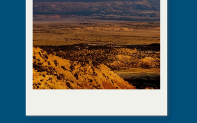 Lesson 1: Introduction & My Internship Journey